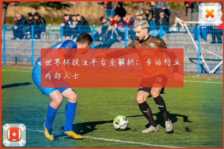 世界杯投注平台全解析：专访行业内部人士