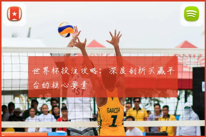 世界杯投注攻略：深度剖析买赢平台的核心要素