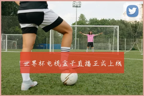世界杯电视盒子直播正式上线
