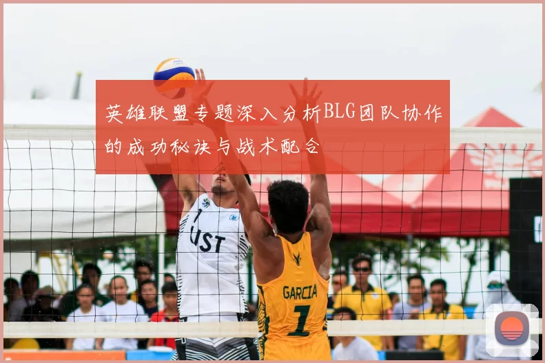 英雄联盟专题深入分析BLG团队协作的成功秘诀与战术配合
