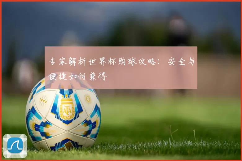 专家解析世界杯购球攻略：安全与便捷如何兼得