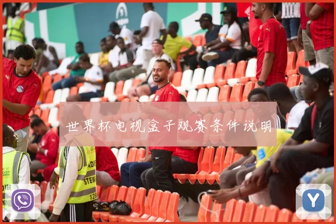 世界杯电视盒子观赛条件说明