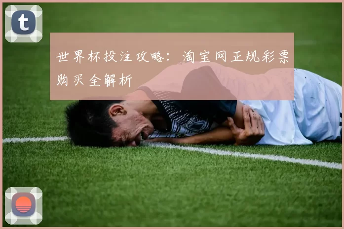世界杯投注攻略:淘宝网正规彩票购买全解析