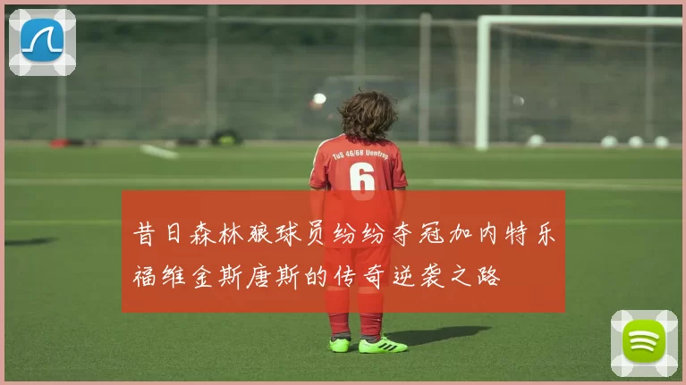 昔日森林狼球员纷纷夺冠加内特乐福维金斯唐斯的传奇逆袭之路