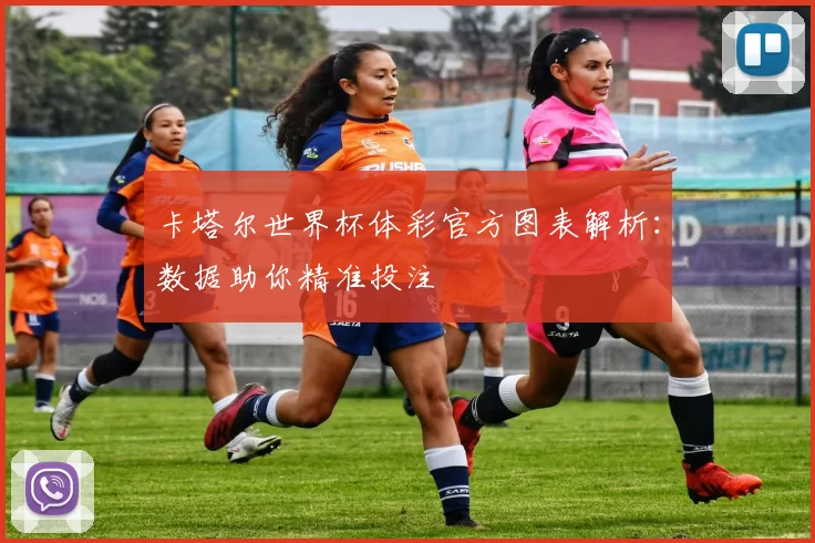 卡塔尔世界杯体彩官方图表解析:数据助你精准投注