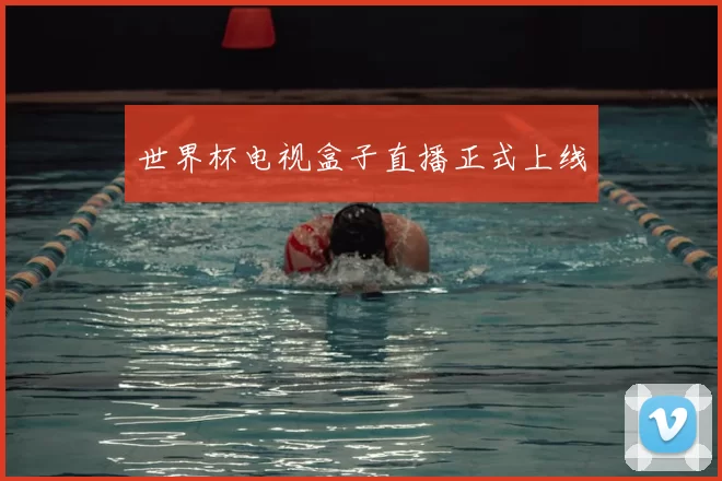 世界杯电视盒子直播正式上线