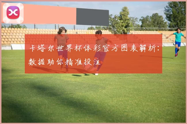 卡塔尔世界杯体彩官方图表解析:数据助你精准投注