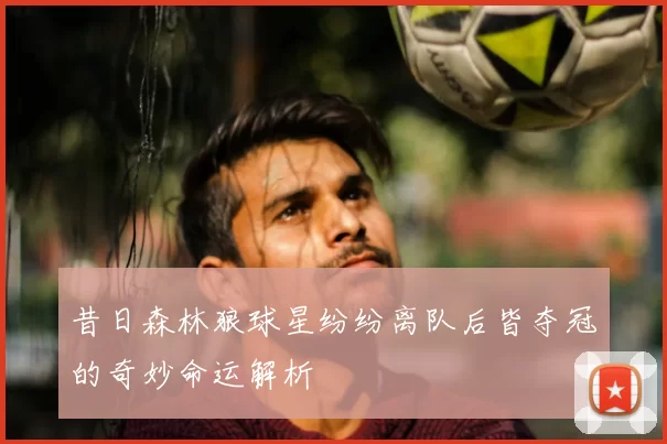 昔日森林狼球星纷纷离队后皆夺冠的奇妙命运解析